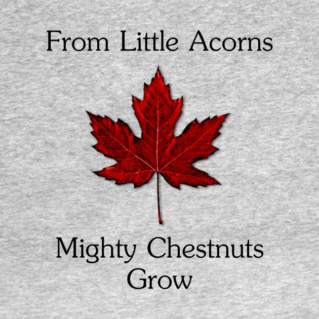 From Little Acorns Two by RFMDesigns